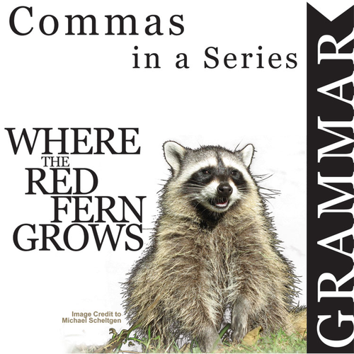 WHERE THE RED FERN GROWS Grammar Commas in a Series (List)