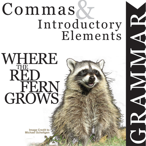 WHERE THE RED FERN GROWS Grammar Commas Introductory Elements
