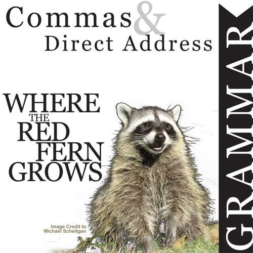 WHERE THE RED FERN GROWS Grammar Commas Direct Address