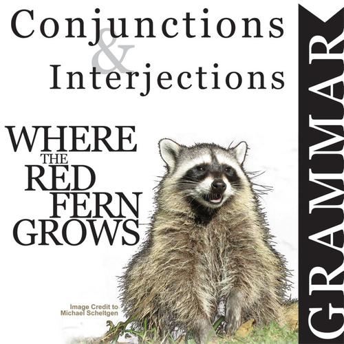 WHERE THE RED FERN GROWS Grammar Conjunctions Interjections