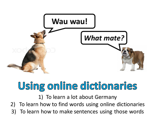 German IT research/translation project