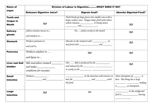 Enzymes in the Digestive System Comparison Table | Teaching Resources