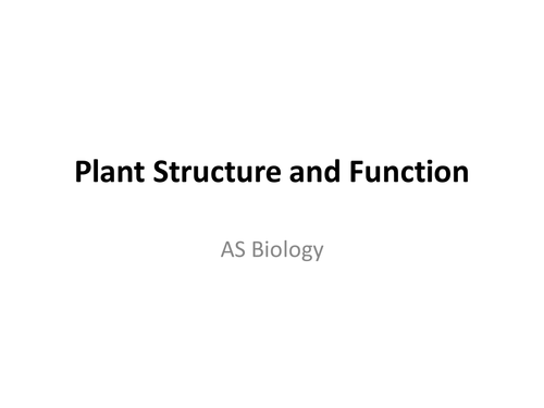 AS KS5 Biology Plant Structure and Function