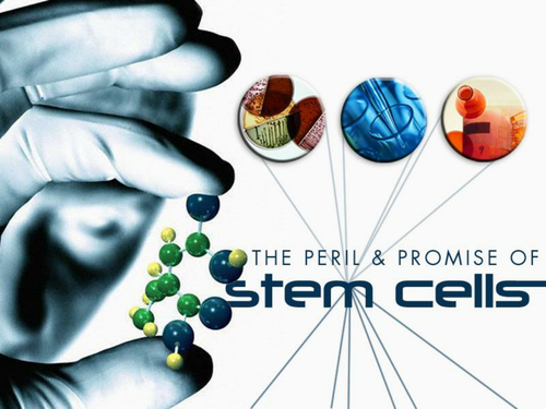 Stem Cells AS biology KS5
