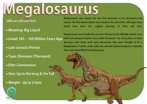Dinosaurs Poster Set
