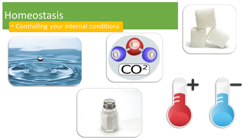 AQA B3 Homeostasis 