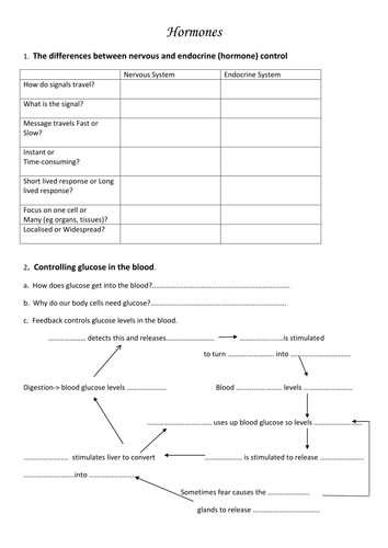 Blood Sugar feedback loops and Endocrine vs Nervous System comparison table