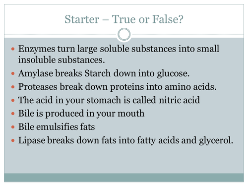 B2 - Topic 3 - Villi