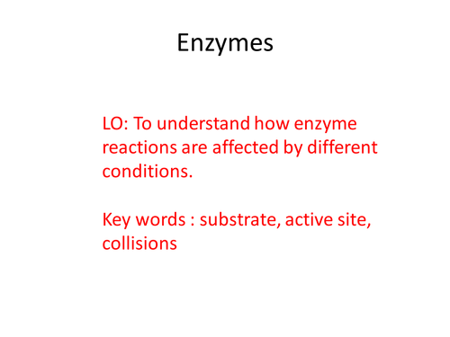 B2 - Topic 3 - Enzyme Concentration