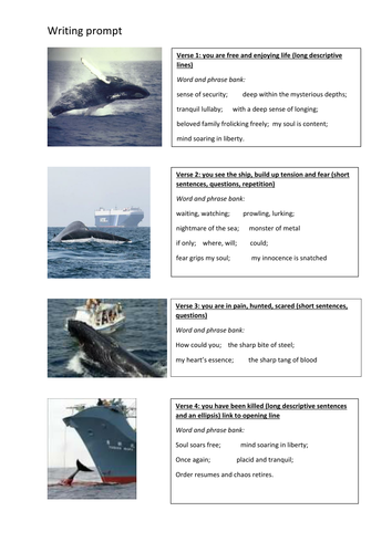 Poetry - Blue Whale poem