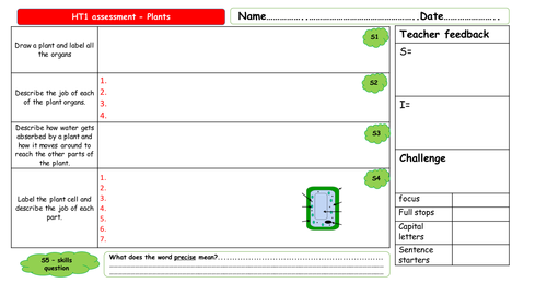 Assessment / test on plants year 7 KS3