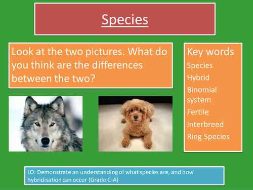 Edexcel B1.3 Species 