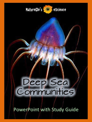 Deep Sea  Communities PowerPoint/Slideshow with Study Guide