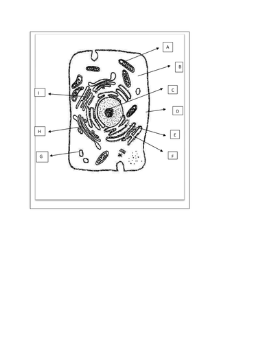 Label the human cell