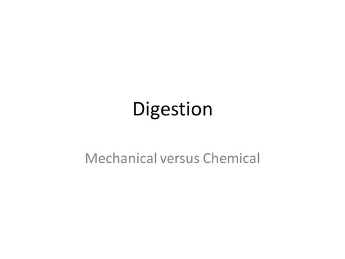 The Digestive System - an overview of Mechanical and Chemical Digestion