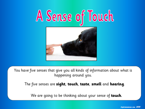 A Sense of Touch Topic Pack