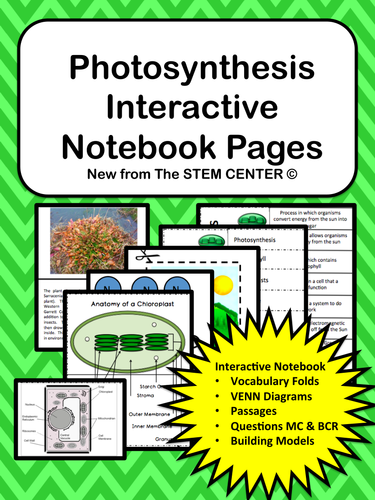 Photosynthesis Interactive Notebook