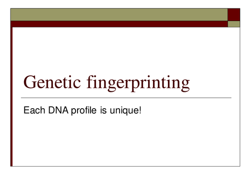 KS5 Biology Topic Genetic fingerprinting