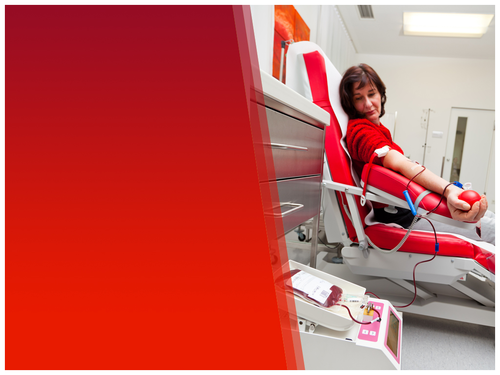 Blood Donation PPT Template