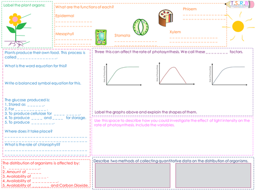 B2 Plant Organs, Photosynthesis and Distribution of Organisms Revision Mat