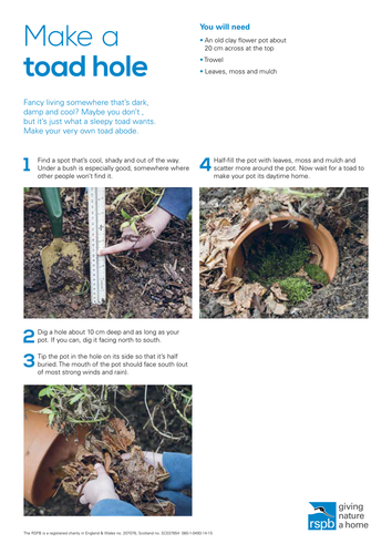 How to: Make a toad hole