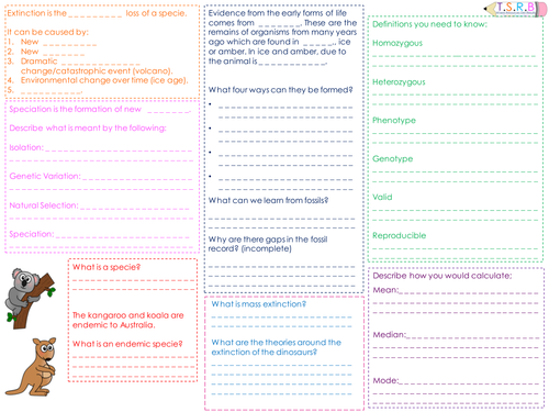 B2 Speciation, Fossils and Definitions Revision Mat