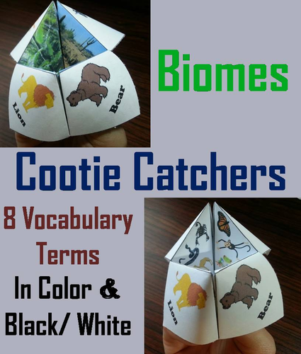 Biomes Cootie Catchers