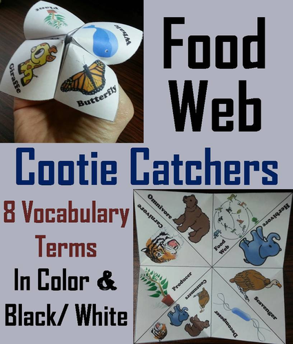 Food Web Cootie Catchers
