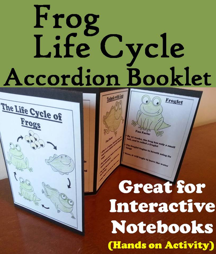 Frog Life Cycle Accordion Booklet