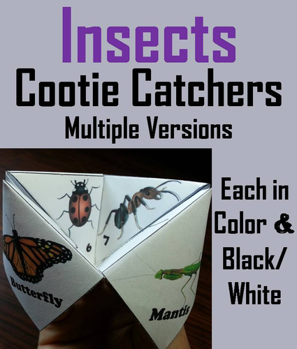 Insects Cootie Catchers