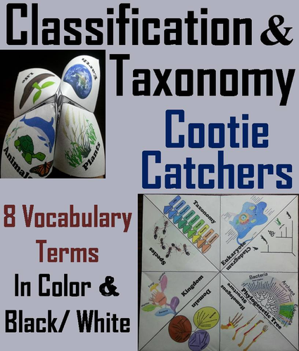 Classification and Taxonomy Cootie Catchers
