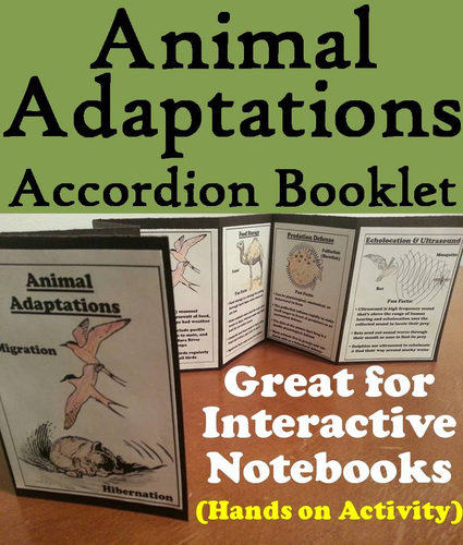 Animal Adaptations Accordion Booklet