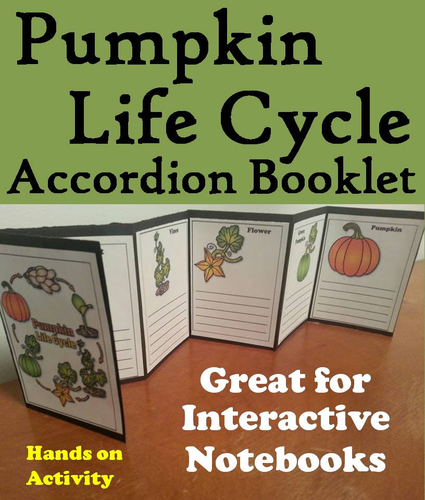 Pumpkin Life Cycle Accordion Booklet