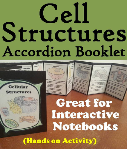 Cell Structures Accordion Booklet