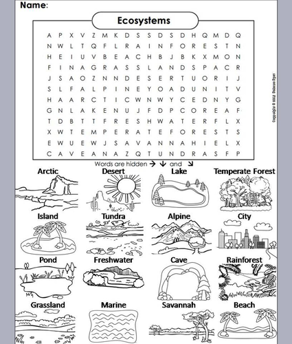 Ecosystems Word Search/ Coloring Book