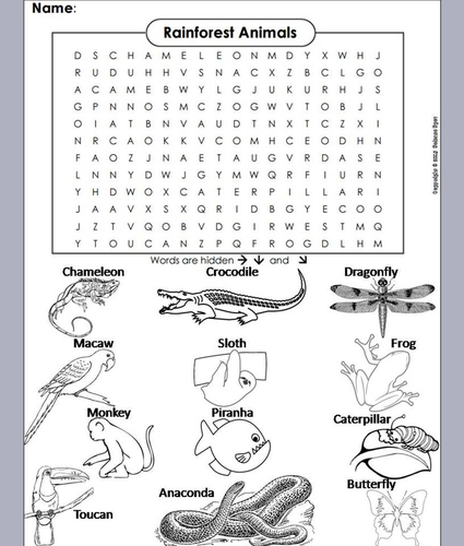 rainforest word search coloring book by sciencespot