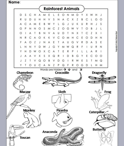 Rainforest Word Search/ Coloring Book