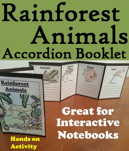 Rainforest Accordion Booklet