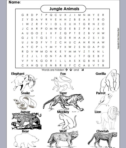 Jungle Animals Word Search/ Coloring Book