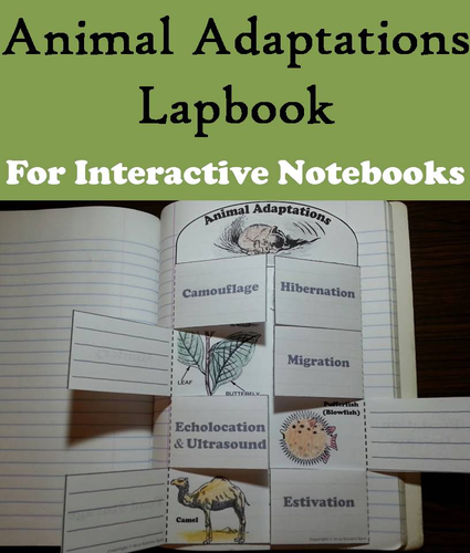Animal Adaptations Lapbook