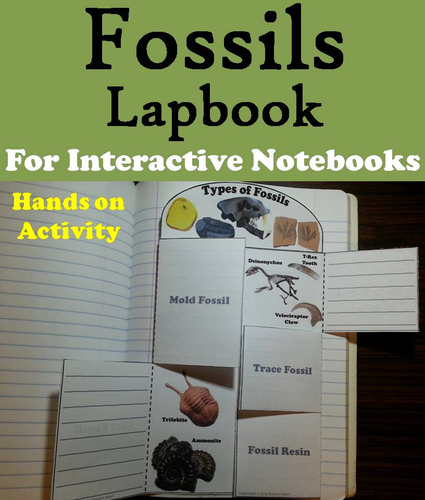 Fossils Lapbook