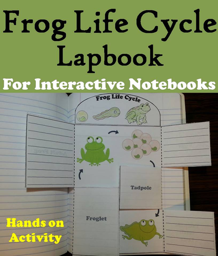 Frog Life Cycle Lapbook