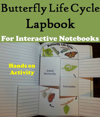 Butterfly Life Cycle Lapbook