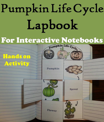 Pumpkin Life Cycle Lapbook