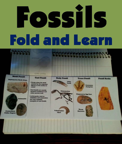 Fossils Fold and Learn