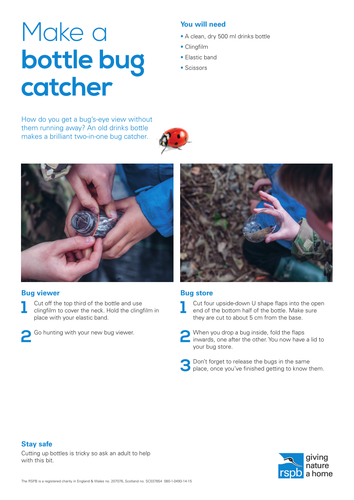 Wildlife Detective: Make a bottle bug catcher
