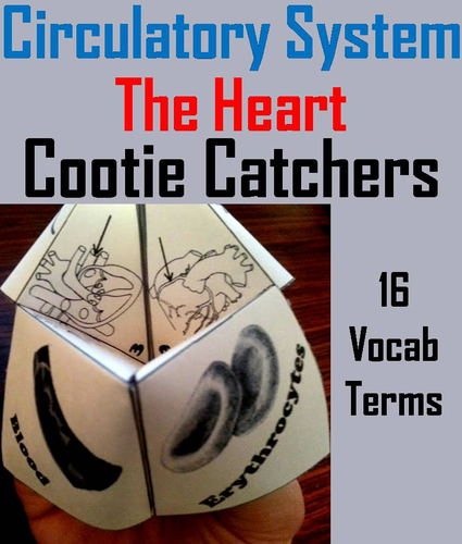 Circulatory System Cootie Catchers