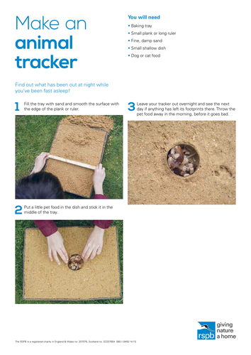 Wildlife Detective: Make an animal tracker