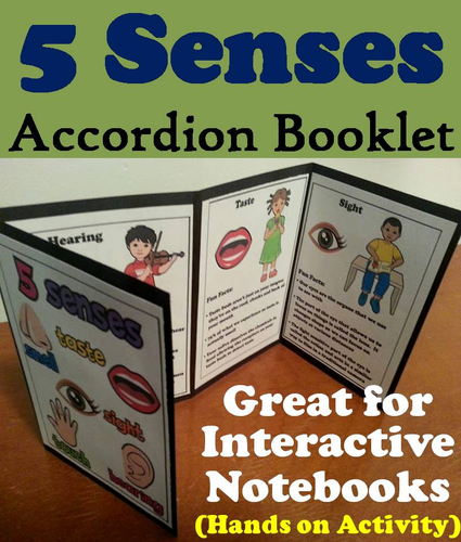 Five Senses Accordion Booklet