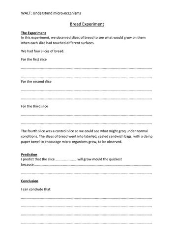 Year 6 - Micro-organisms (Mouldy Bread Experiment) 